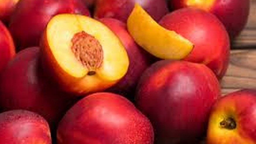 La aplicación de fenilalanina mejora la acumulación de metabolitos de resistencia y la capacidad antioxidante aliviando el daño por el frío en nectarinas poscosecha Bea fenilalanina.jpg
